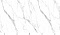 Calacatta White glossy
